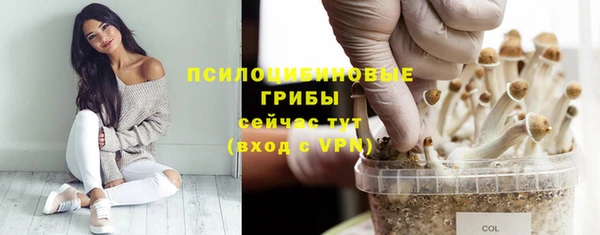 a pvp Бронницы