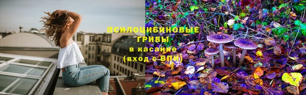 экстази Бородино