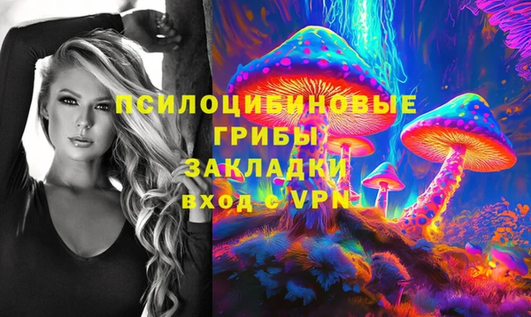 экстази Бородино