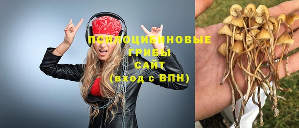 экстази Бородино