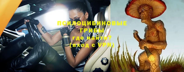 экстази Бородино