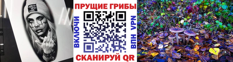 Псилоцибиновые грибы мухоморы  Купить  Выкса 